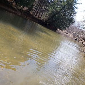 Meet your Posher, Jake